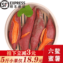 【顺丰】福建六鳌蜜薯 沙地红薯 地瓜 番薯 香甜软糯 新鲜 5斤小果实惠装（2件合发9斤/带箱）