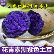 梓乐果 黑土豆5斤新鲜小土豆农家乌洋芋马铃薯黑金刚紫色农家 2500g