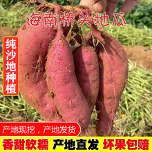 海南澄迈桥头富硒地瓜新鲜红薯黄心番薯板栗薯10斤带箱 10斤带箱 中果