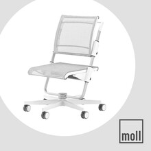德国摩尔moll Scooter儿童转椅写字升降椅大学生学习椅靠背椅 白腿