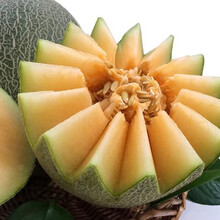 美农汇 甜瓜种子 京蜜一号早熟香瓜种子杂交薄皮抗病 香瓜种子 白皮甜瓜种籽 甜瓜种籽 春季瓜种子 网纹甜瓜种子100粒(果肉橘红色)