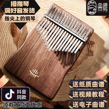 hluru鲁儒拇指琴卡林巴琴17音专业kalimba手指琴双姆指钢琴初学者男女学生儿童便携易学乐器 S形板式17音拇指琴【胡桃木】+全套赠品