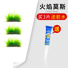 于家林子莫斯水草活体大三角松茸火焰莫丝网片摩丝怪厥moss鱼缸水族箱前景造景树套餐装饰 火焰莫斯3片+胶水
