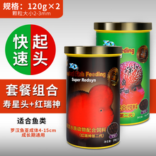 仟湖OCEAN FREE 罗汉鱼饲料罗汉起头增艳成长鱼粮寿星头红瑞神日增红罗汉鱼食套餐观赏鱼通用饲料 凸头增艳套餐240克中粒FF952+FF1137