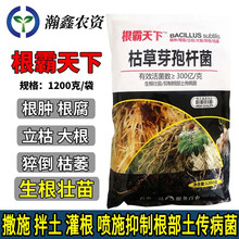 瀚鑫 枯草芽孢杆菌杀菌剂 根霸天下枯草芽孢杆菌枯萎病根腐病1200g 1200g根霸天下（根施）