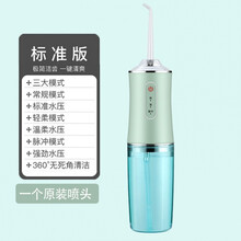 冲牙器便捷式家用水牙线洁牙洗牙神器去牙洁石 草绿色(三挡调节+1喷头+充电线)