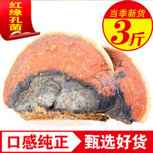 品茸堂 长白山红缘层孔菌 灵芝 林芝 无柄赤芝 红缘树舌 红缘孔菌3斤