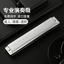 孔声24孔复音口琴高端演奏乐器初学者成人练习NO.2410 G