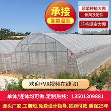 鲸榜农业用蔬菜钢管热镀锌骨支架花卉房大暖棚养殖种植智能玻璃连栋联体塑料薄膜PC阳光板温室配件设备全套 无土栽培温室