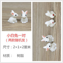 小型上水石吸水石假山水盆景鱼缸配饰人物多肉装饰陶瓷小配件摆件 兔子