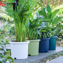 爱丽思IRIS Deepot花盆 加厚树脂控根盆圆口塑料多肉绿萝绣球蔷薇月季 7号蓝色(口径约23.7cm)