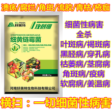 流胶病腐烂角斑青枯疮痂软腐溃疡青苔蔬菜果树细菌病害细黄链霉菌 1袋