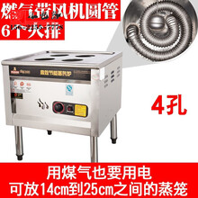 蒸包炉商用蒸包子机流动摆摊用节能王全自动蒸汽炉馒头肠粉机 燃气盘管4孔【电气并用】