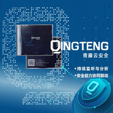 青藤万相 主机自适应安全套件企业版(500台/月)许可—适用于企业风险发现漏洞修复 互联网企业漏洞扫描神器