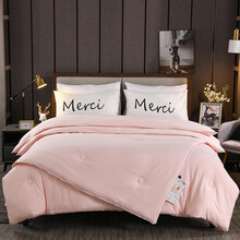 南极人家纺 二合一子母被冬天加厚保暖被子学生宿舍被芯拉链款四季通用春秋 子母被-玉 2.0*2.3m 【4.5+6.5斤 总11斤】