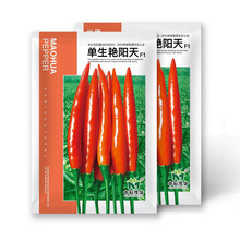 中科茂华蔬菜种子单生艳阳天朝天椒种子超辣指天椒干鲜两用红辣椒抗病高产100粒
