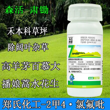 森活 肃锄 郑氏化工百慕大马尼拉禾本科草坪专用除草剂 2甲氯氟吡氧乙酸除猪殃殃水花生阔叶草博阑除草剂 100ml/瓶*5瓶
