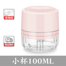 FEDAIR家用绞肉机小型迷你捣蒜泥神器多功能辅食搅拌绞馅机料理机 殷桃粉 电动绞肉机双杯【100+200】ML