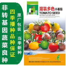 蔬菜种子四季播种阳台农家庭院盆栽生菜菠菜韭菜香菜草莓籽孑 玫红色 混装小番茄约200