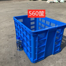 加厚塑料筐周转筐长方形储物筐工厂收纳筐蔬菜筐水果筐塑料周转箱 拾喜猫 1号加厚筐56*42*30 蓝色