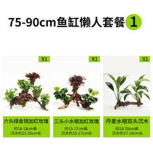 绿伴 鱼缸装饰造景套餐真水草活体沉木后景草缸植物淡水小水榕养鱼懒人 75-90cm鱼缸懒人套餐1