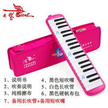 口风琴全乐理37键学生练习教学比赛儿童成人口吹琴专业乐器琴定制 37键口风琴粉色(帆布包)+全套赠品+备用吹管
