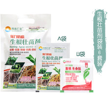 生根粉生根剂多肉植物果树插杆通用玫瑰月季花草移栽壮苗剂发根 生根壮苗剂(一包6组合)