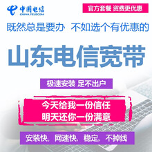 中国电信（China Telecom） 山东电信光纤宽带济南青岛烟台潍坊济宁日照临沂聊城菏泽新装续费 原套餐续费