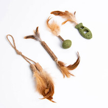amoor 猫咪磨牙棒木天蓼耐咬逗猫棒羽毛老鼠猫薄荷球自嗨洁齿零食猫玩具 鸡毛组合4件套