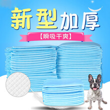 狗狗尿垫100片加厚尿片吸水垫猫咪兔子尿不湿卫生垫宠物尿布 蓝色加厚尿片 XS-超小型20片