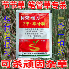 树荣怪刀90%2甲4氯钠草甘膦 果园荒地非耕地除草剂烂根二甲草甘膦 500g