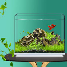 画法几何 鱼缸水族箱 水草缸 造景 两栖版裸缸 小型 金鱼缸 客厅办公室家用桌面鱼缸