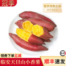 顺丰速发 临安天目山小香薯 小红薯农家自种地瓜番薯红苕薯5斤装10