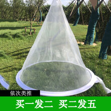 流慧 蜂蜜过滤网超细150目蜂蜜过滤器滤蜜糖蜂蜜滤网锥形养蜂工具 买一发二(共2个)