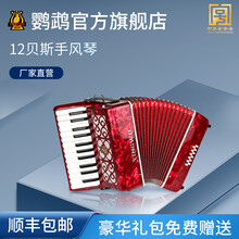 鹦鹉 YW-848 手风琴25键12BS初学者乐器 初学成人专业演奏考级乐器厂家直接发货 红色