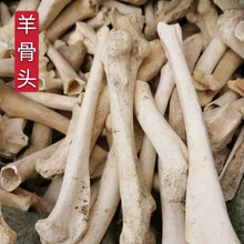 中药材 羊骨头山羊骨粉羊骨头羊骨粉250克狗骨头狗骨头粉 羊骨头250克 羊骨头