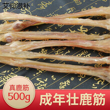 鹿筋干500克 东北吉林长白山梅花鹿筋条鹿蹄筋新鲜干净筋整支整根鹿鞭鹿茸泡酒 鹿场直销 品质保证 壮年鹿筋主筋500克