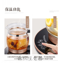 养生壶全自动加厚玻璃电煮茶壶中药壶煎药大容量2-2.5l黑茶 炖盅+大滤网+酸奶杯蛋架+除垢剂 升级版2.5L