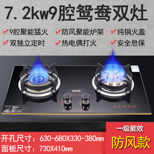 日本樱花煤气灶双灶家用天然气嵌入式灶具猛火灶液化气台式燃气灶 顶配款+双定时+9头猛火+钢化防爆 面板尺寸730 液化气