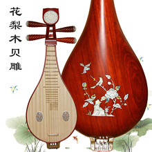 柳琴乐器 演奏级柳琴 双共鸣箱 花梨木柳琴 初学入门考级琴小琵琶 花梨木贝雕柳琴