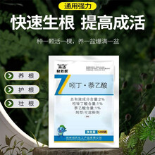 森活 郑氏化工 快生跟快生根生根粉 吲哚丁酸萘乙酸 园林扦插苗木植物花卉草坪生根剂生长调节剂 500克/袋*20袋/箱