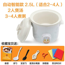 电炖锅全自动煲汤锅熬煮粥锅煮粥神器陶瓷养生家用小bb电炖盅砂锅 白瓷自动2.5L(适合2-4人)陶瓷盖