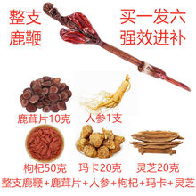 吉林干鹿鞭整支泡酒传统男性滋补养生泡酒配方 70克左右整支鹿鞭 送参茸芝枸杞玛卡