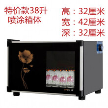 消毒柜中温家用立式小型单门商用饭店餐具杯子大容量奶茶店消毒柜OL 金花不锈钢款38L 适合1个人使用