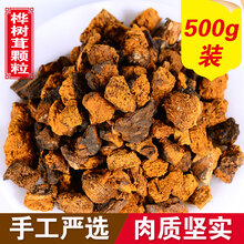 滋真堂 白桦茸 桦褐孔菌 长白山白桦茸桦树茸颗粒 桦树茸颗粒500g