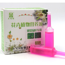 观赏绿叶绿萝铁线蕨室内盆栽植物通用型微量元素水溶肥专用营养液 10盒55元