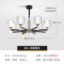 吊灯客厅灯现代简约北欧轻奢家用餐厅卧室灯欧式大气2021新款灯具 8头无极调光+遥控(可调亮度)