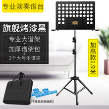 京炫（JINGXUAN)乐谱架琴便携式家用吉他架子鼓小提琴古筝升降折叠曲谱台书架 【加高】【1.9米】黑+2谱夹+包