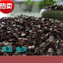 依潋眸荞麦壳散装荞麦皮枕头枕芯成人护颈椎枕头填充物 荞麦壳5斤装