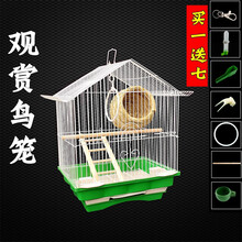 鹦鹉鸟笼 虎皮牡丹别墅笼子文鸟珍珠小号铁艺金属屋顶观赏小鸟笼 屋顶102鸟笼标配
